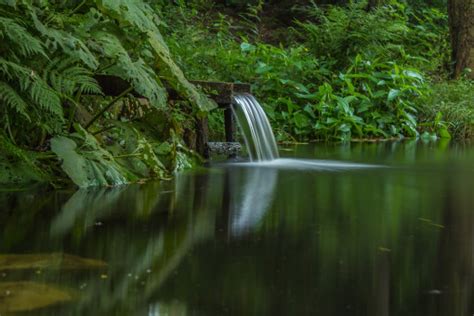 Free Images Tree Nature Forest Waterfall Branch Sunlight Leaf River Stream Green