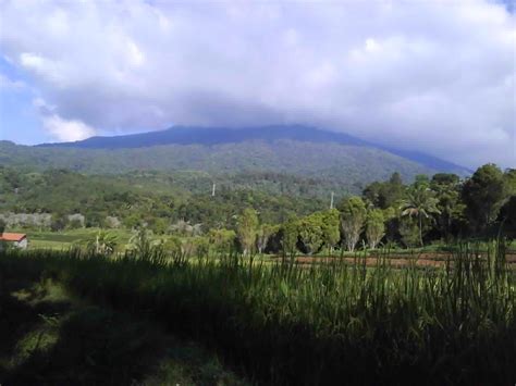 Gunung Ciremai, Jawa Barat, Indonesia Volcano, Farmland, Vineyard ...