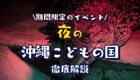 沖縄こどもの国「夜の動物園ナイトzoo」を徹底解説！夏休みの夜間営業は何時まで？ 子育てイルカが笛を吹く