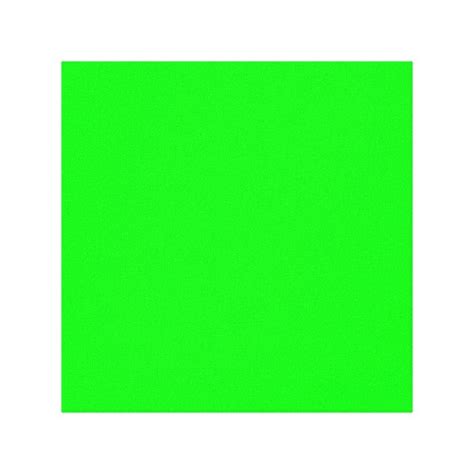 Neon green hex code 00FF00 Canvas Print | Zazzle.co.uk