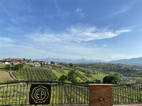 Corso Di Introduzione Alla Viticoltura Biodinamica Professionale