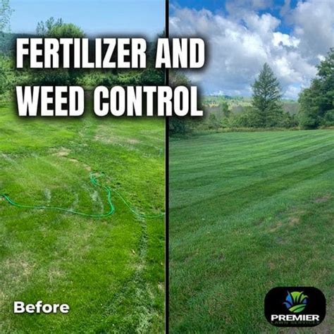 Before After Lawn Care Photos Results You Have To See