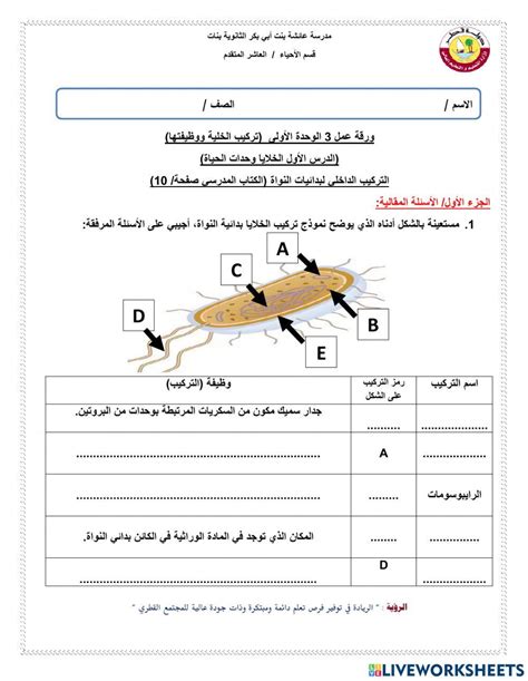 ورقة عمل تركيب الخلية بدائية النواة Online Exercise For Live Worksheets