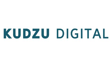 ADA Compliant Websites Tax Credits Kudzu Digital