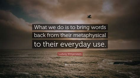 Ludwig Wittgenstein Quote What We Do Is To Bring Words Back From