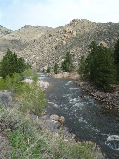 Cache La Poudre River - near Fort Collins-Greeley, CO | Eastern Slope Stream - Uncover Colorado