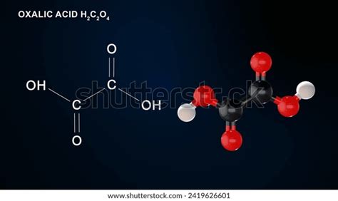 Oxalic Acid Molecule C2h2o4structure 3d Illustration Stock Illustration 2419626601 Shutterstock