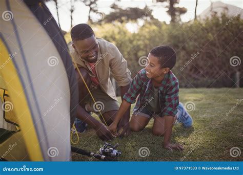 Father And Son Are Setting Up Tent In Park Stock Image Image Of