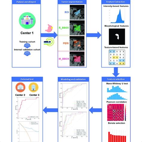 Radiomics Processing Flowchart Download Scientific Diagram