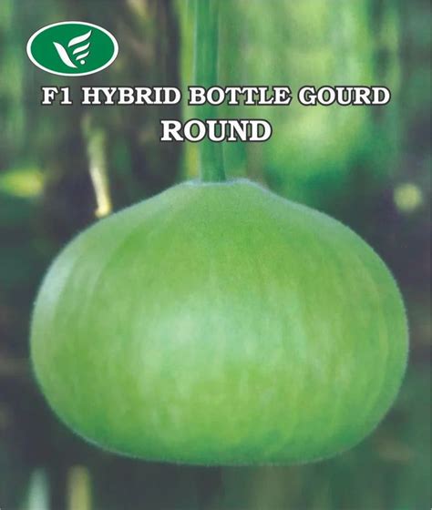 F1 Hybrid Bottle Gourd Seeds At Rs 2000 Kg Vegetable Seeds In New Delhi Id 2853637480555