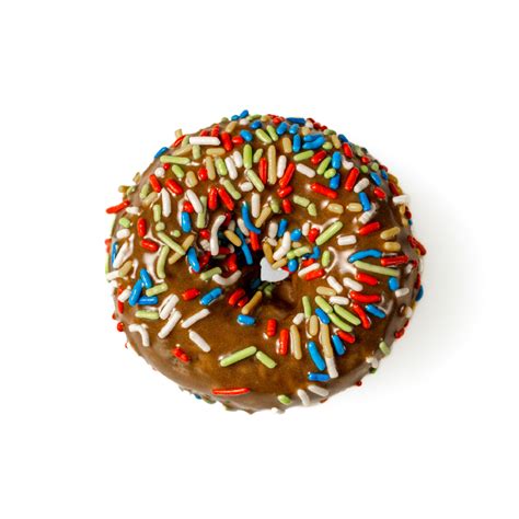 Maple Frosted Chocolate Cake With Sprinkles - Daylight Donuts