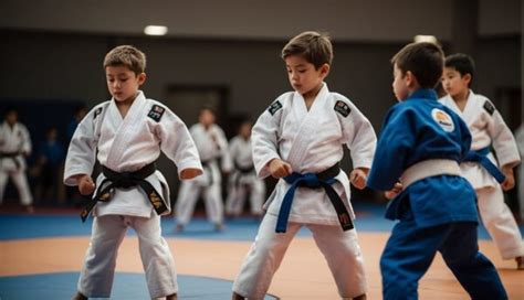 Judo F R Kinder Ein Leitfaden F R Eltern Und Trainer