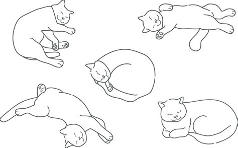 Contour drawing of a sleeping cat in various poses. Cat is sleeping in ...