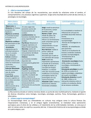 Lobulo Temporal Libro De Kolb 400 PARTE III FUNCIONES CORTICALES