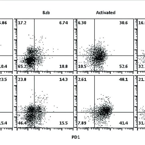 Bortezomib Treatment Decreases The Expression Of Exhaustion Molecule