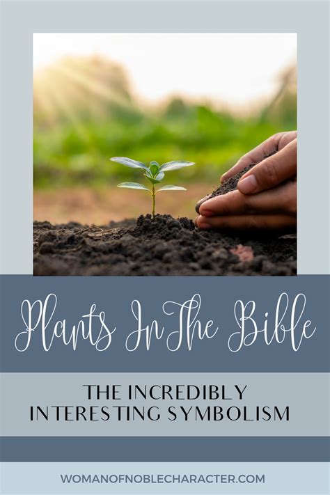 The Incredibly Interesting Symbolism Of Plants In The Bible Artofit