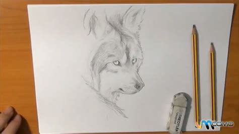 Aprender Sobre 106 Imagem Lobos Desenhos Realistas Br Thptnganamst