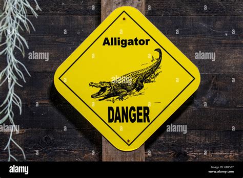 Alligator warning sign hi-res stock photography and images - Alamy