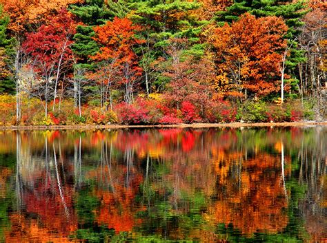 Beautiful Fall Reflection Stanley Zimny Thank You For Million