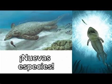 Nuevas Especies De Criaturas Prehist Ricas Descritas En Agosto