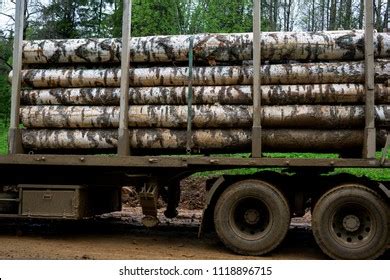 853 Transporting Sawn Timber Images Stock Photos 3D Objects