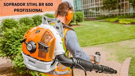 Soprador Stihl BR 600 Ideal para Fazendas e Sítios YouTube