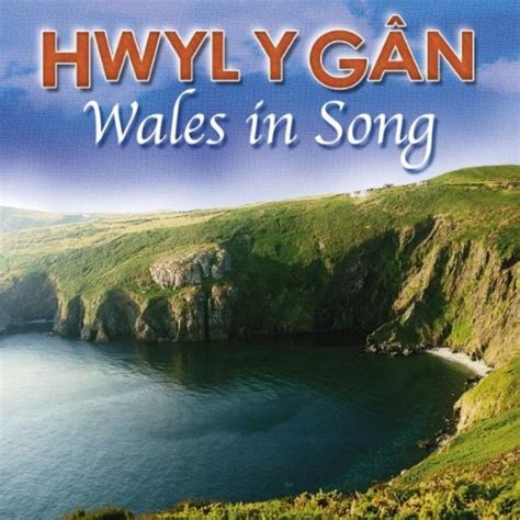 Calon Lan by Cor Meibion Llanelli Male Voice Choir on Amazon Music ...