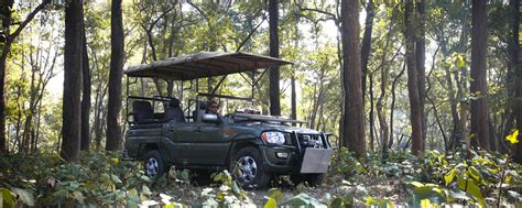 Best Jeep Safari In Corbett Journey Into The Heart Of Corbetts Forest