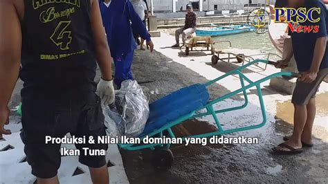 Produksi Ikan Yg Didaratkan Di Pps Cilacap Juli Youtube