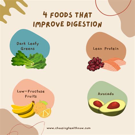 How To Improve Digestion Economicsprogress5