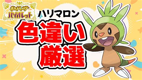 まつりちゃんねる On Twitter 配信始めます！ 【320から】色違いハリマロン孵化厳選【ポケモンsv】