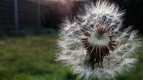 Simon's Blog - British Summer Time | ITV News Meridian