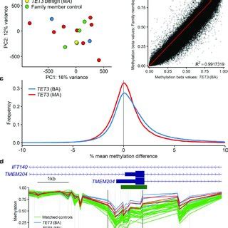 Overall Genome Wide DNA Methylation In The TET3 Cohort Samples A