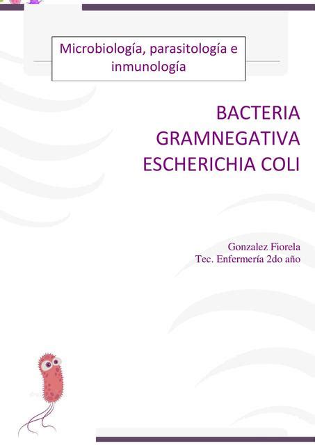 Bacteria Gram Negativas Escherichia Coli Fiorela Gonzalez Udocz