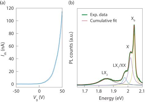 Gate Tunable Spatial Accumulation Of Valley Spin In Chemical Vapor