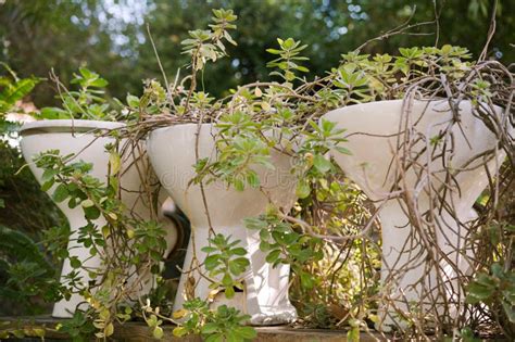 Sustainable Garden Design Upcycling Toilet Bowls Into Eco Friendly