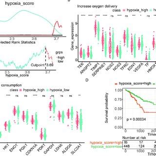 Identification Of Low And High Hypoxia Groups In TCGA A The Optimal