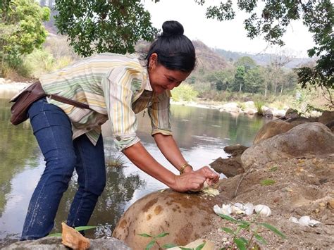 Honduras Sostenible Giz On Twitter Este Taller Es Dirigido Para