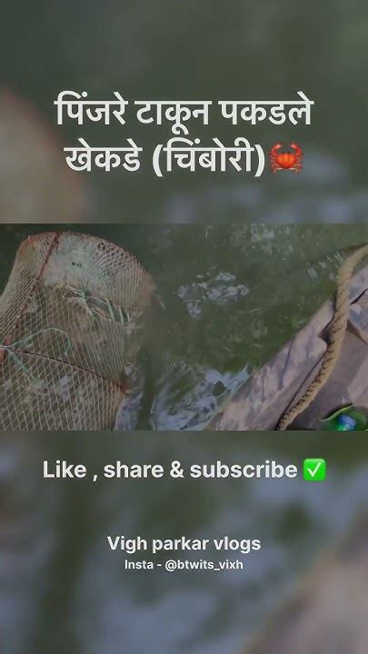 चिंबोरी 🦀 Youtube