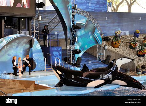 Killer whale - Shamu show - San Antonio (Texas) SeaWorld, the biggest ...