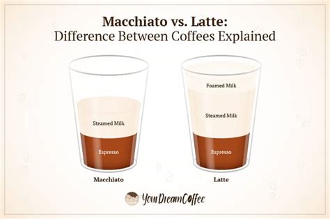 Macchiato Vs Latte Difference Between Coffees Explained