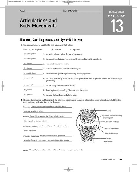 Articulations And Body Movements Review Sheet E X E R C I S E 13 Articulations And Body