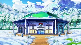 Pokémon Arena von Blizzach PokéWiki