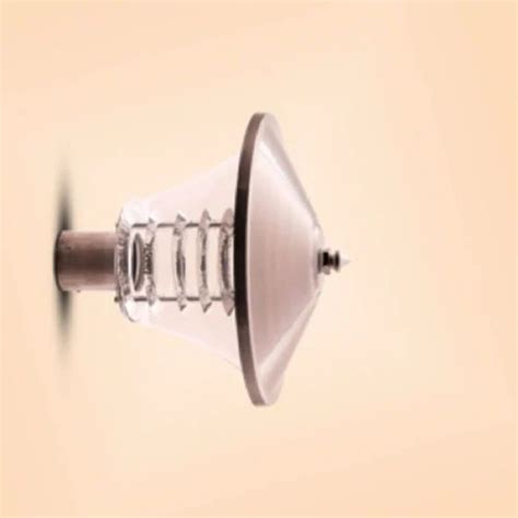 Led Stainless Steel Pasolite T B Roma Ring Clear Gate Light At