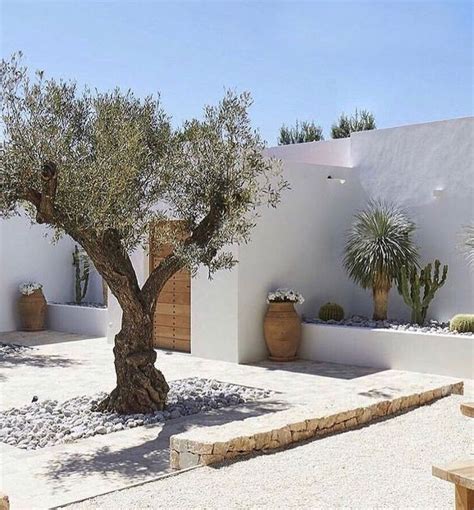 Olive tree courtyard. | Estilo mediterraneo casas, Exteriores de casas