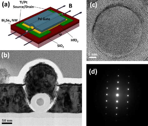 A Schematic Structure Of A Bi Se Nanowire Fet With An External