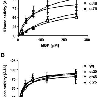 Pdgfr Domains And Sequence Of The C Terminal Tail A The Various