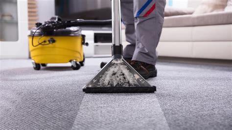 How To Choose The Best Carpet Cleaning Company For Your Needs Lakhiru