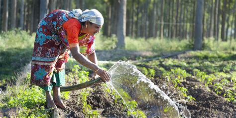 Gender In Agriculture Cgiar Gender Impact Platform