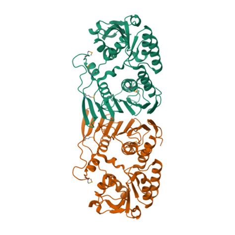 Rcsb Pdb F L Crystal Structure Of A Probable Oxidoreductase Yhhx In